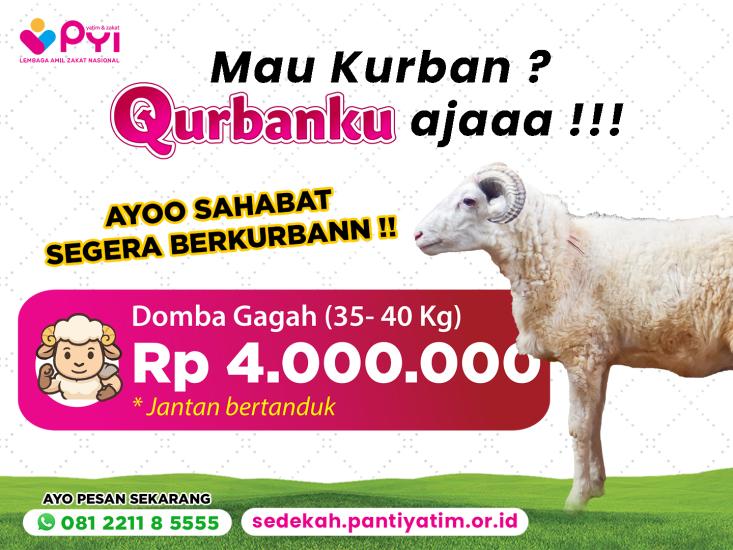 Gambar banner Qurban Domba Gagah