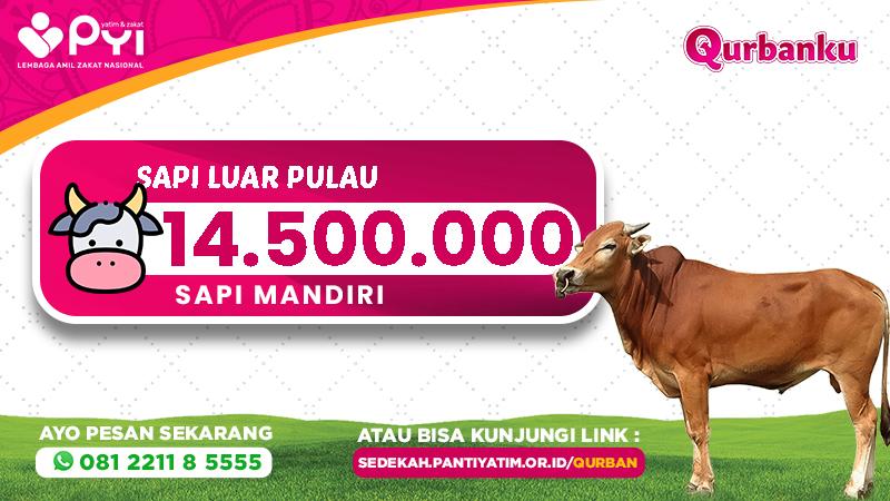 Banner program Qurban Sapi Luar Pulau Mandiri