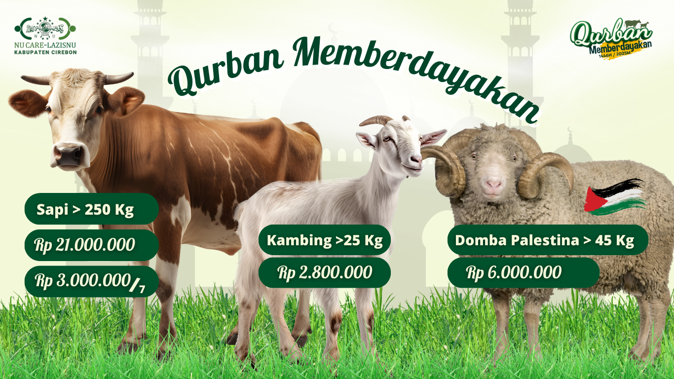 Banner Program 