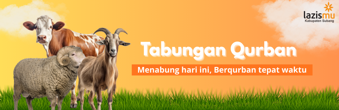 Banner Program 