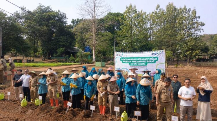 Banner Info Terbaru Wakaf Warrior Tanam Perdana Porang, Dorong Wakaf Produktif di Sektor Pertanian